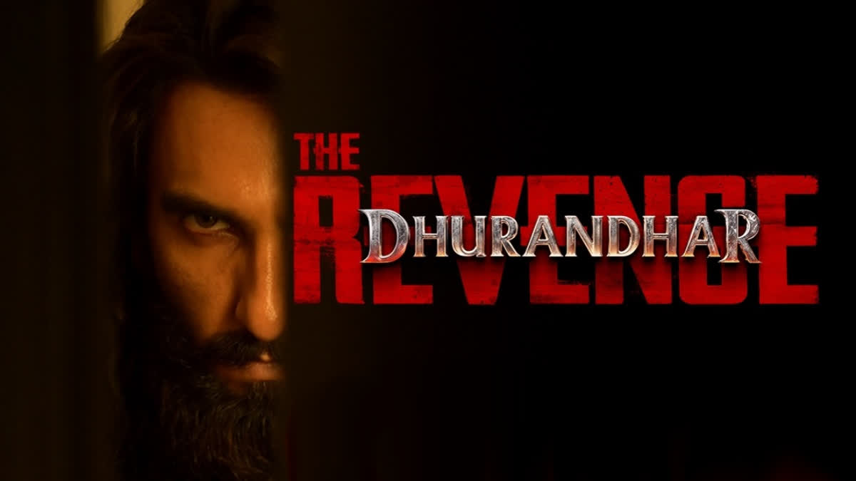 Dhurandhar The Revenge Story: What Happens?